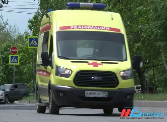 В Волгоградской области умерла девочка, заразившаяся бешенством